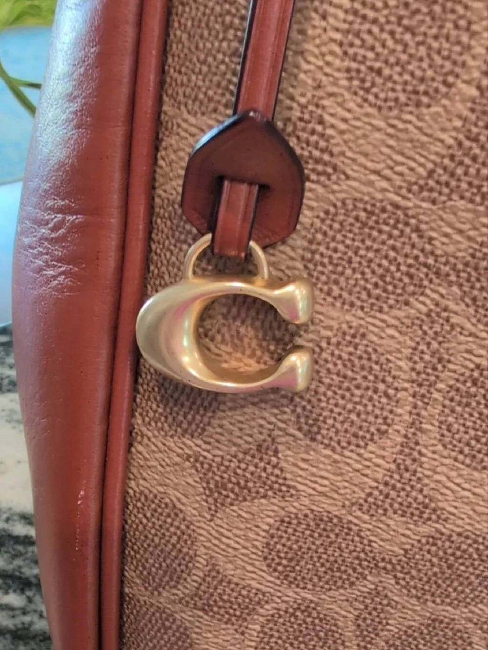 Coach Cary Signature Canvas And Leather Hobo Bag